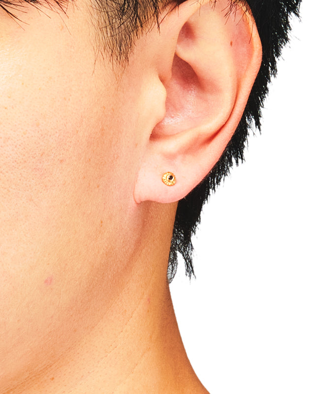 エルクピアス【BKDIA】