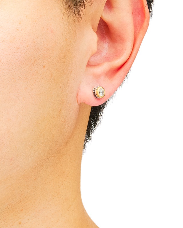 リクターピアス【WHI】