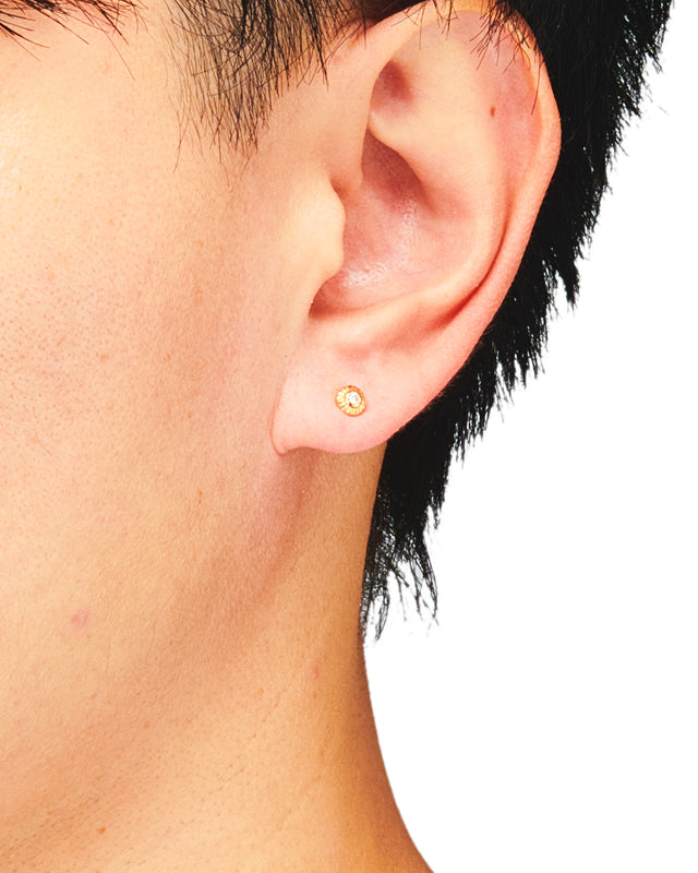 エルクピアス【WHIDIA】